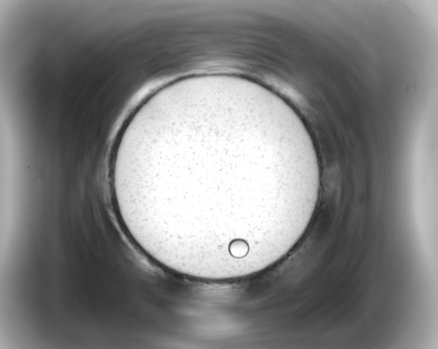 X0000086011470200704091047