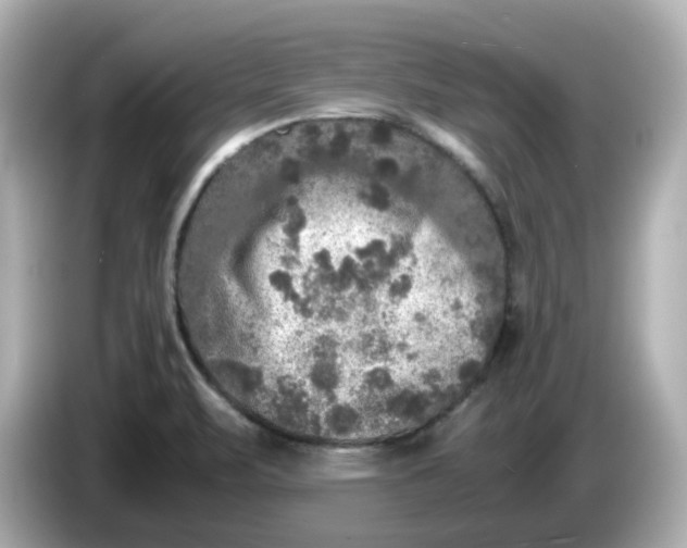 X0000086011471200704091047