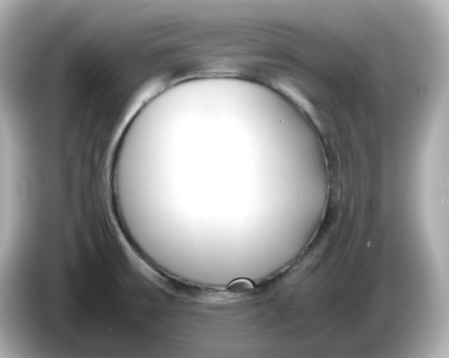 X0000086011475200704091047