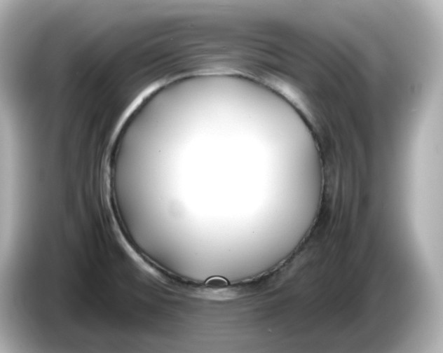 X0000086011476200704091047