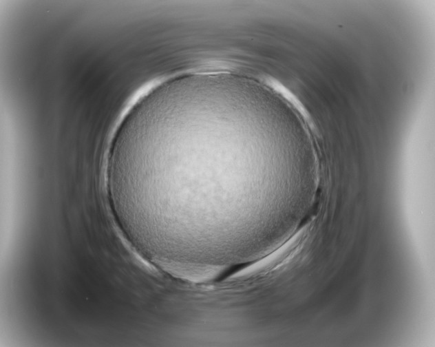 X0000086011477200704091046