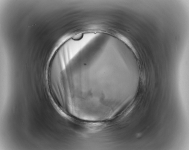 X0000086011482200704091046