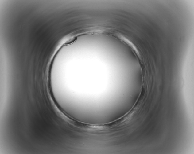 X0000086011483200704091046