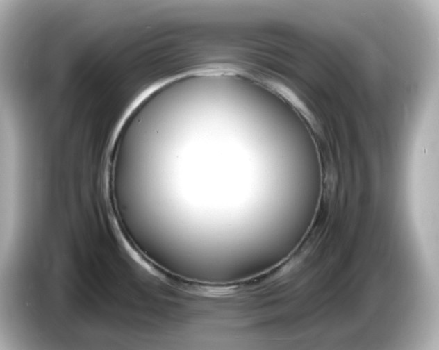 X0000086011484200704091046