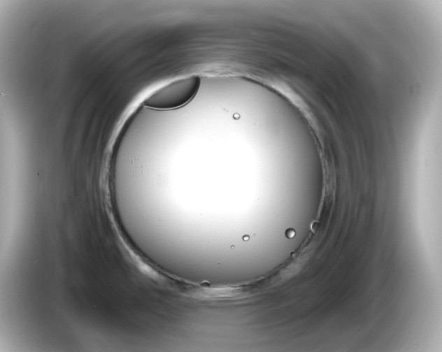 X0000086011486200704091046