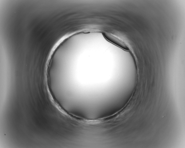 X0000086011488200704091046
