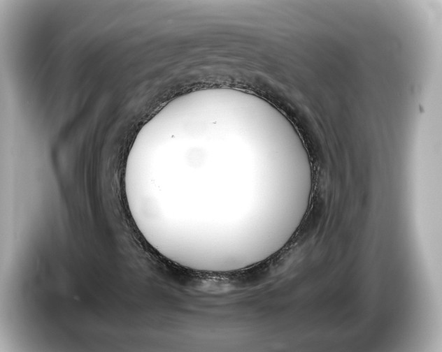 X0000086011489200704091046