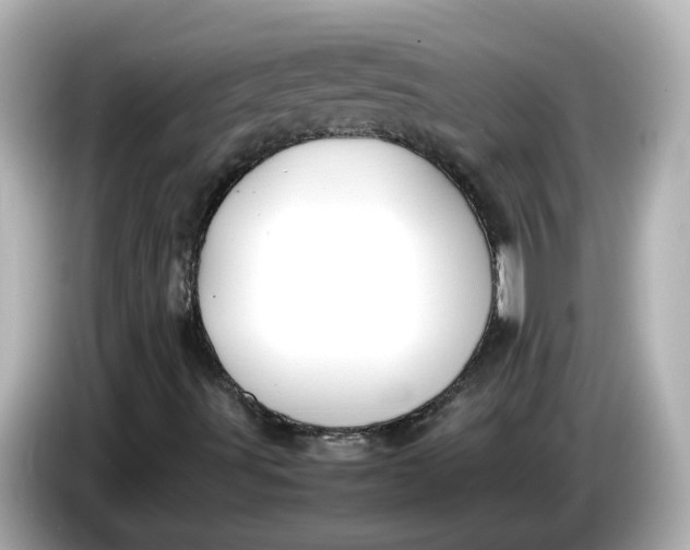 X0000086011491200704091046