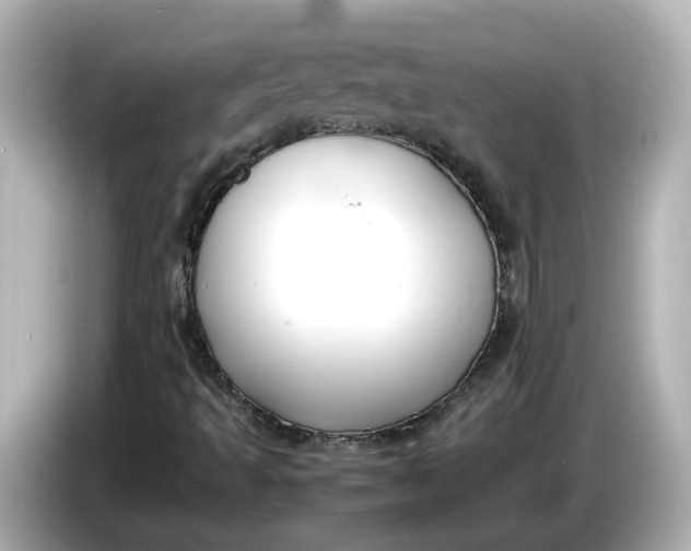 X0000086011493200704091046