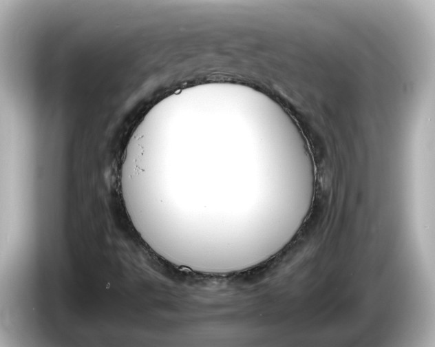 X0000086011495200704091046