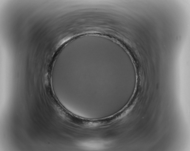 X0000086011497200704091046