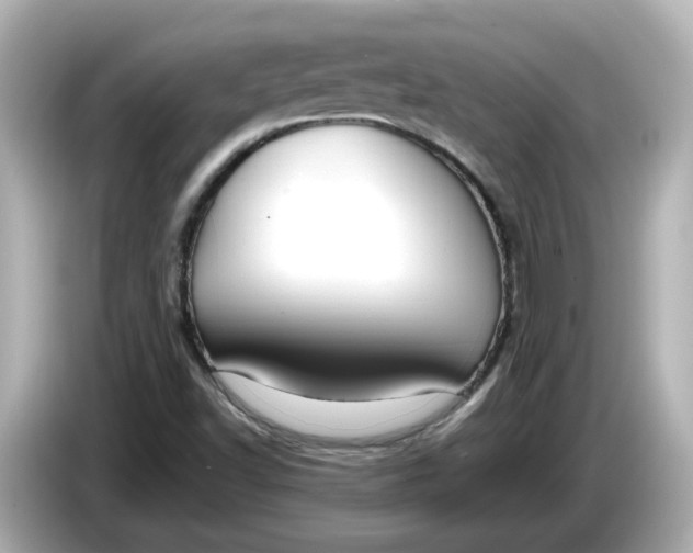 X0000086011502200704091046