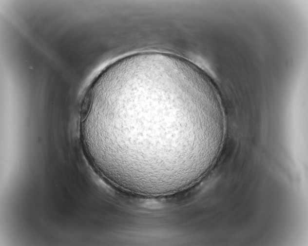 X0000086011504200704091046