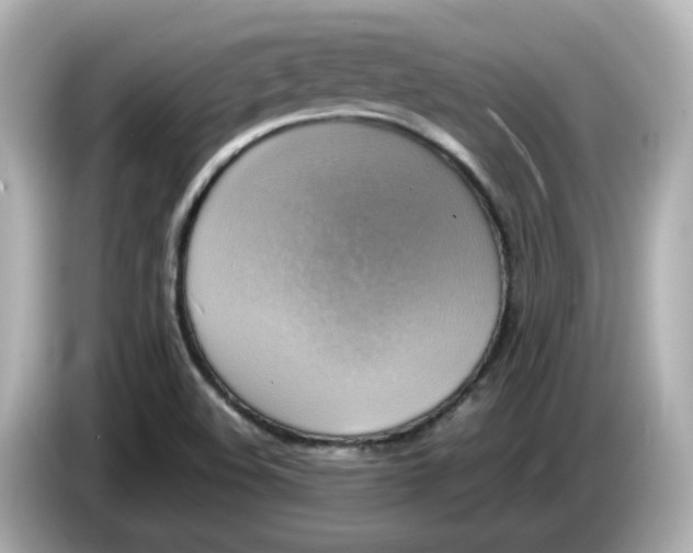 X0000086011508200704091046