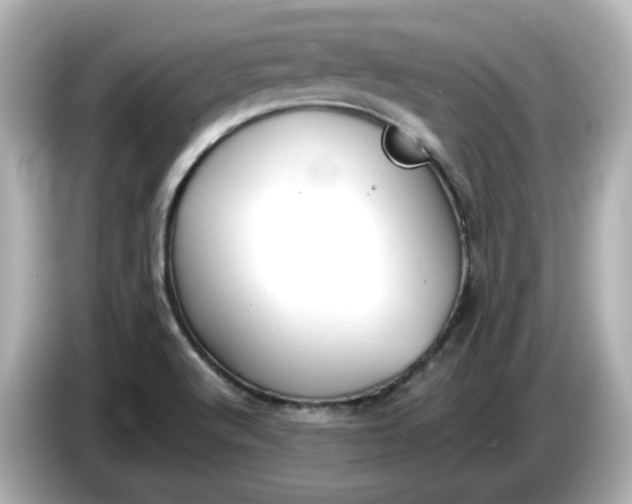 X0000086011512200704091046