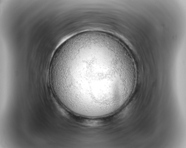 X0000086011513200704091046