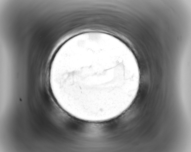 X0000086011514200704091046