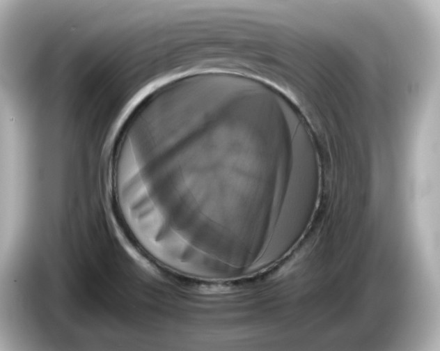 X0000086011515200704091046