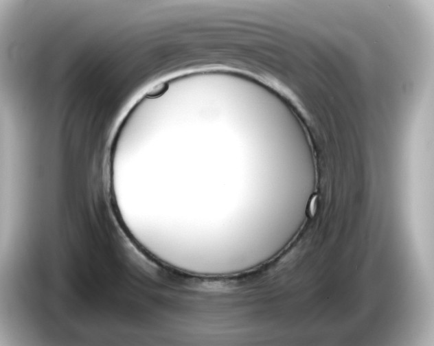 X0000086011516200704091046