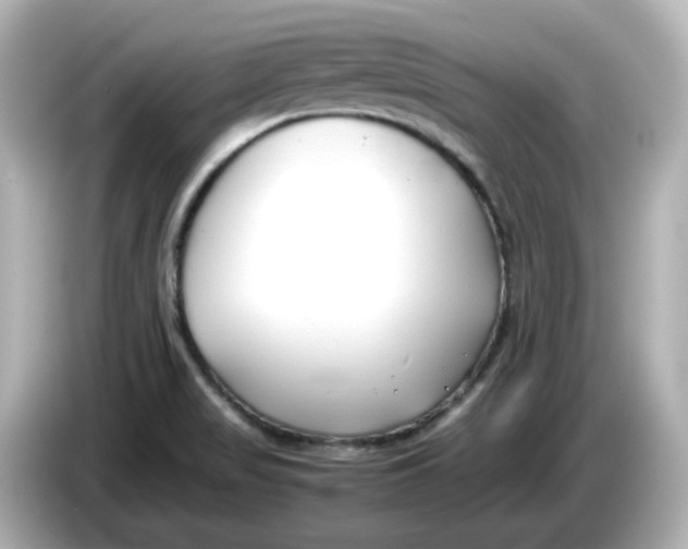 X0000086011517200704091046