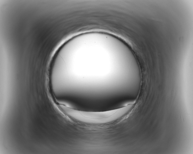 X0000086011518200704091046