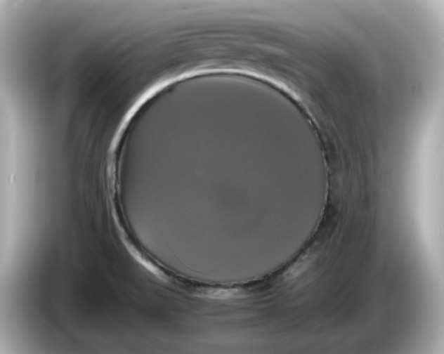 X0000086011519200704091046