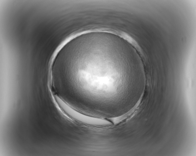 X0000086011520200704091046