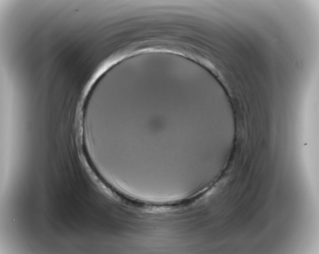 X0000086011522200704091046