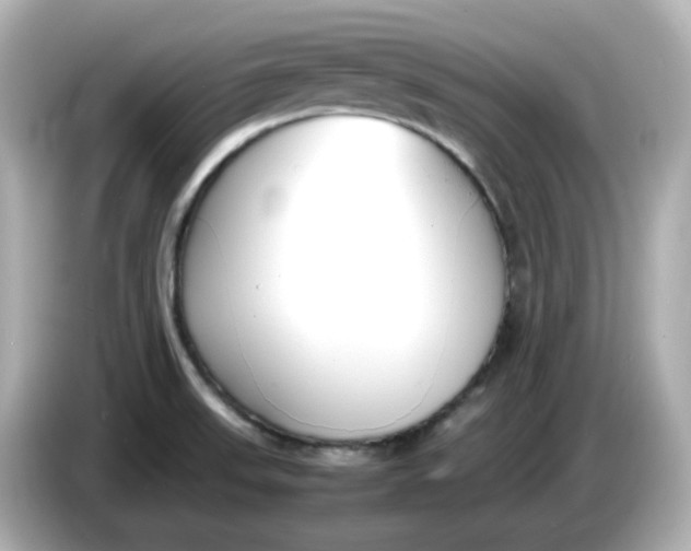 X0000086011523200704091046