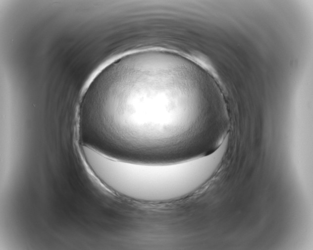 X0000086011524200704091046