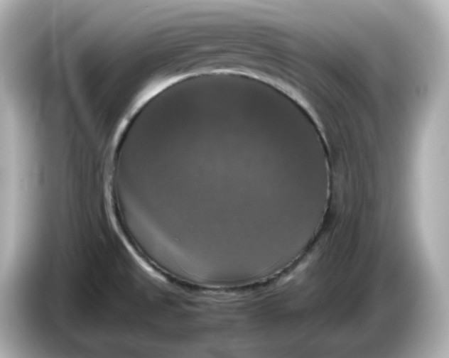 X0000086011525200704091046