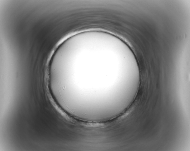X0000086011526200704091046