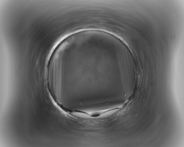 X0000086011527200704091046