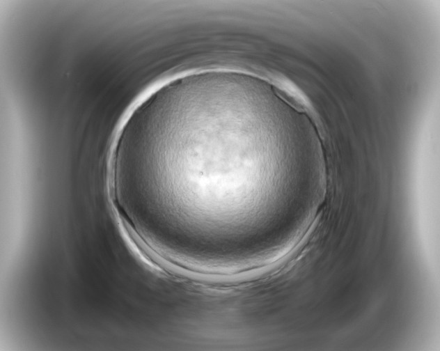 X0000086011528200704091046