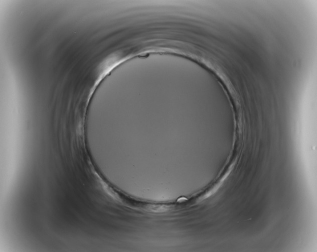 X0000086011529200704091046