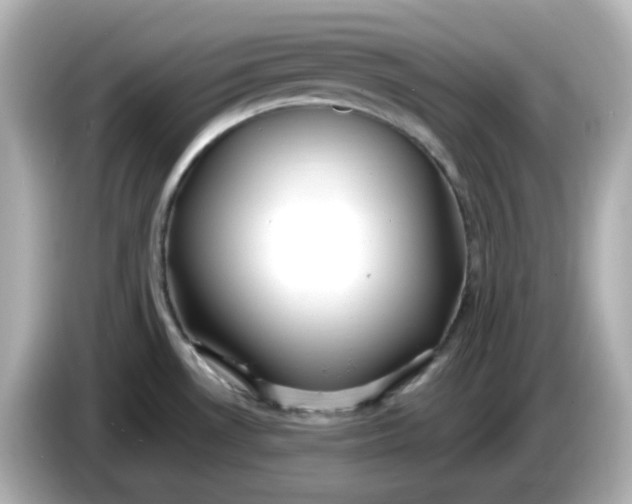 X0000086011530200704091046