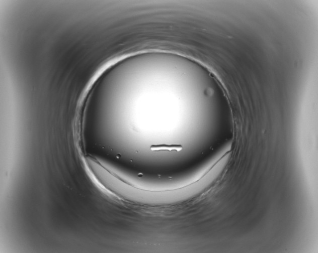 X0000086011531200704091046