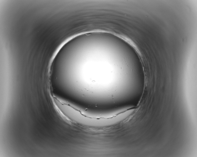 X0000086011532200704091046
