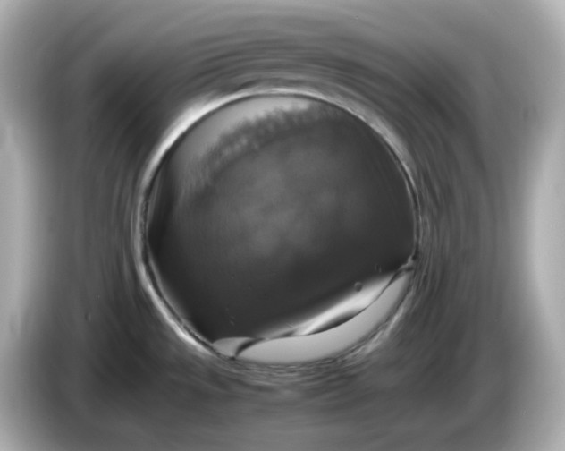 X0000086011533200704091046