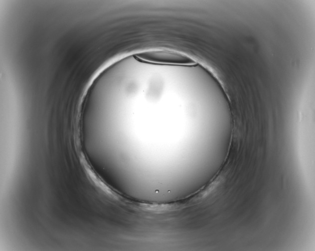 X0000086011534200704091046