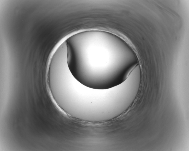X0000086011536200704091046