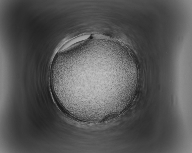 X0000086010003200704131838