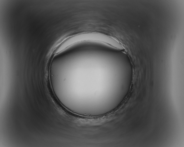 X0000086010005200704131838