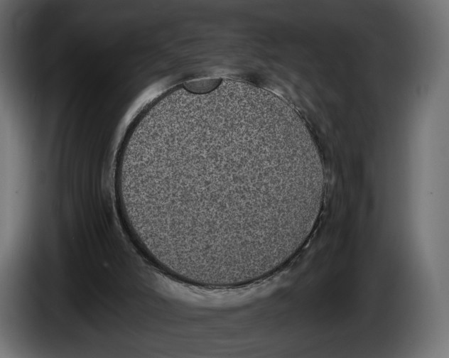 X0000086010006200704131838