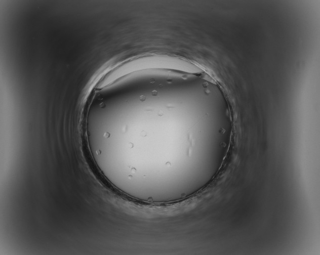 X0000086010007200704131838