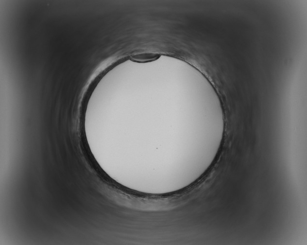 X0000086010008200704131838