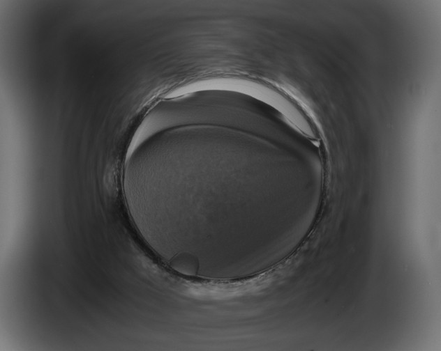X0000086010009200704131838