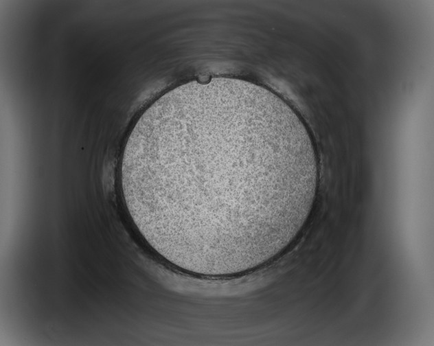 X0000086010010200704131838