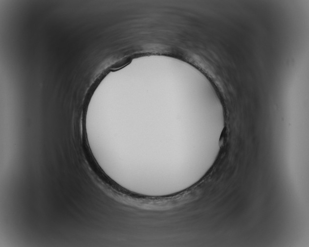X0000086010011200704131838
