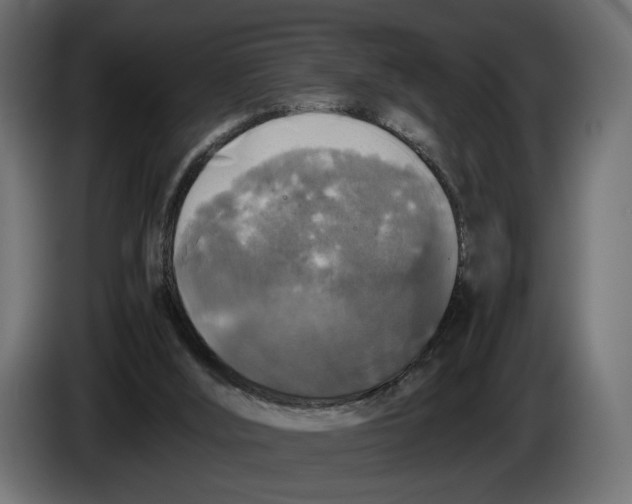 X0000086010012200704131838